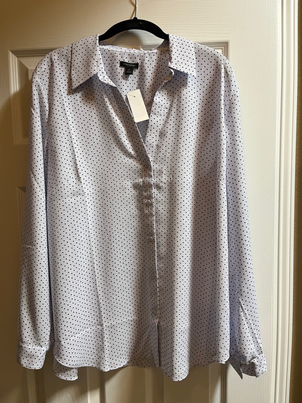 Ann Taylor Light Blue Polka Dot Dress Shirt